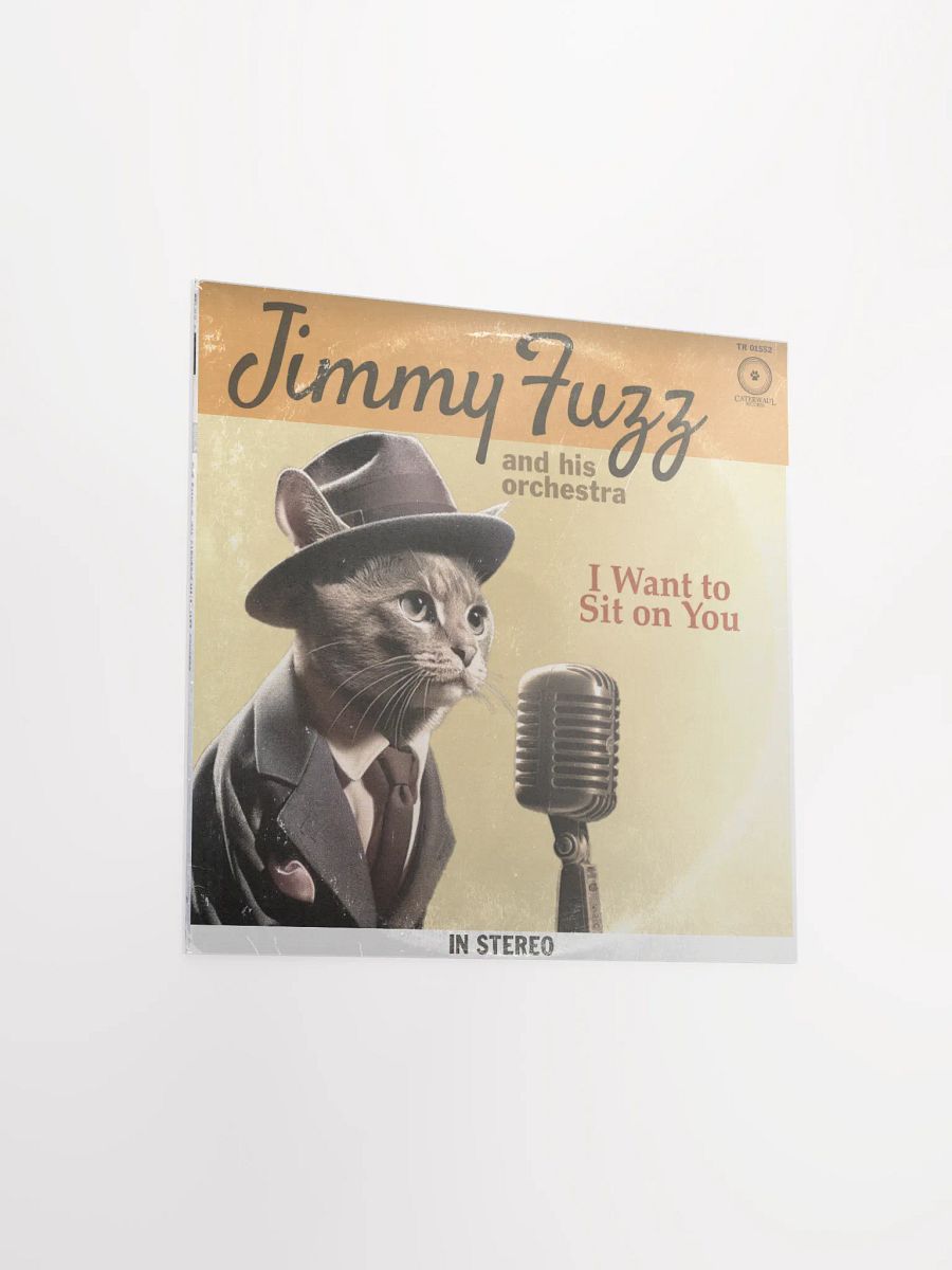 Jimmy Fuzz Poster - I Want To Sit On You album jacket (front) - 12