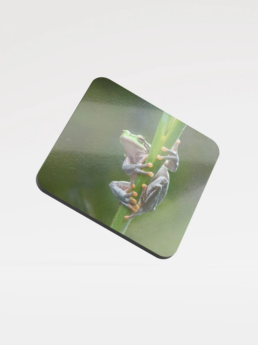 Tree Frog Coaster product image (1)