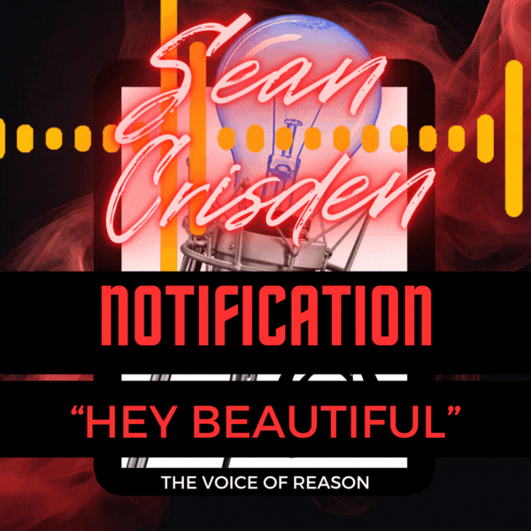 Audio Notification - 