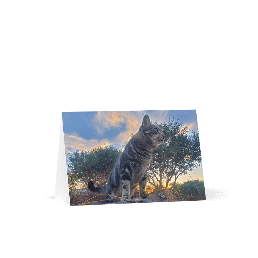Purrsie's Golden Hour Greeting Card product image (1)
