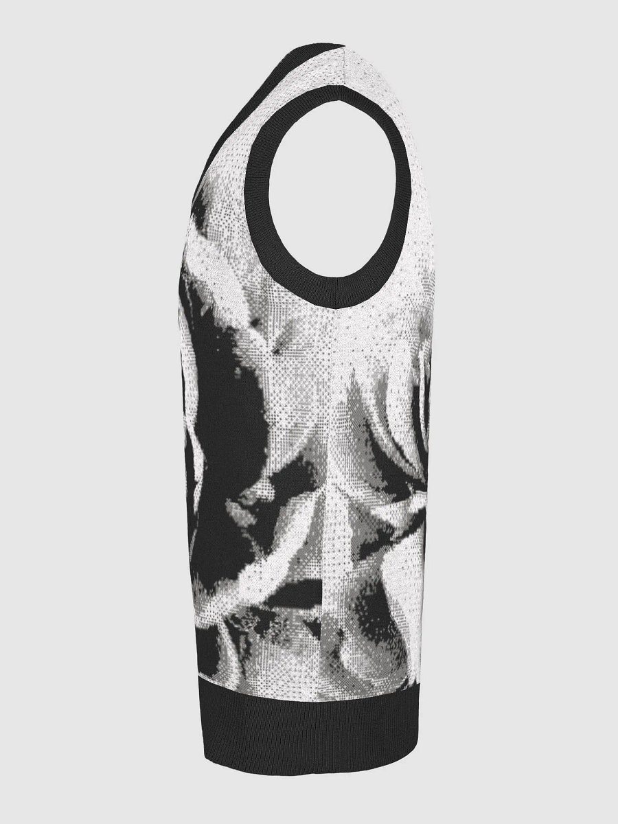 Finesse Knitted V-Neck Vest product image (26)