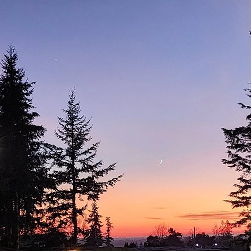 We stopped by the house mid errands to drop Mom food off, and the sky stopped me in amazement with the moon, the star the sun...