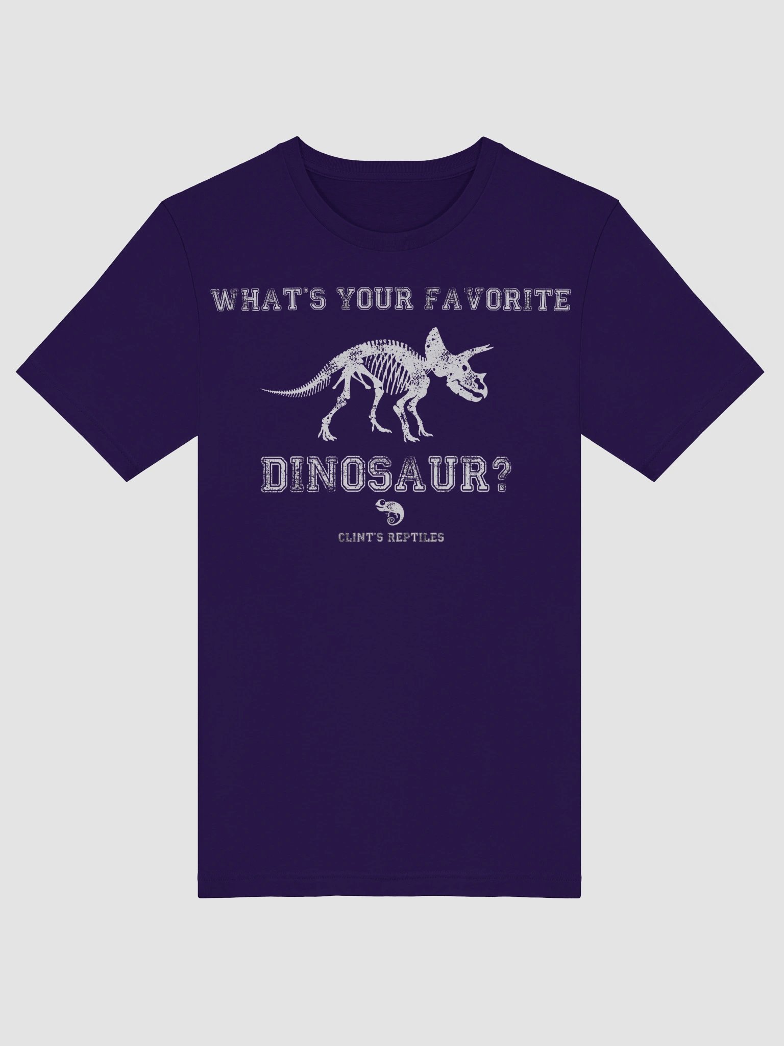 What's Your Favorite Dinosaur? Triceratops Shirt product image (54)