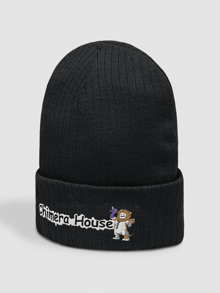 Chimera House Beanie product image (2)