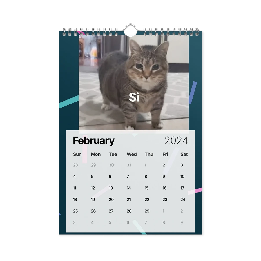 Wall Calendar (2024): Meme Cats product image (7)