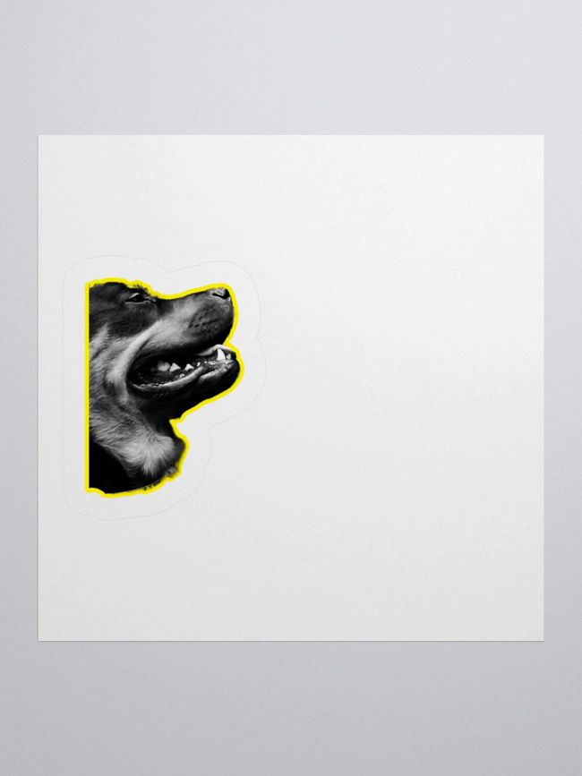 Stickers and Pins