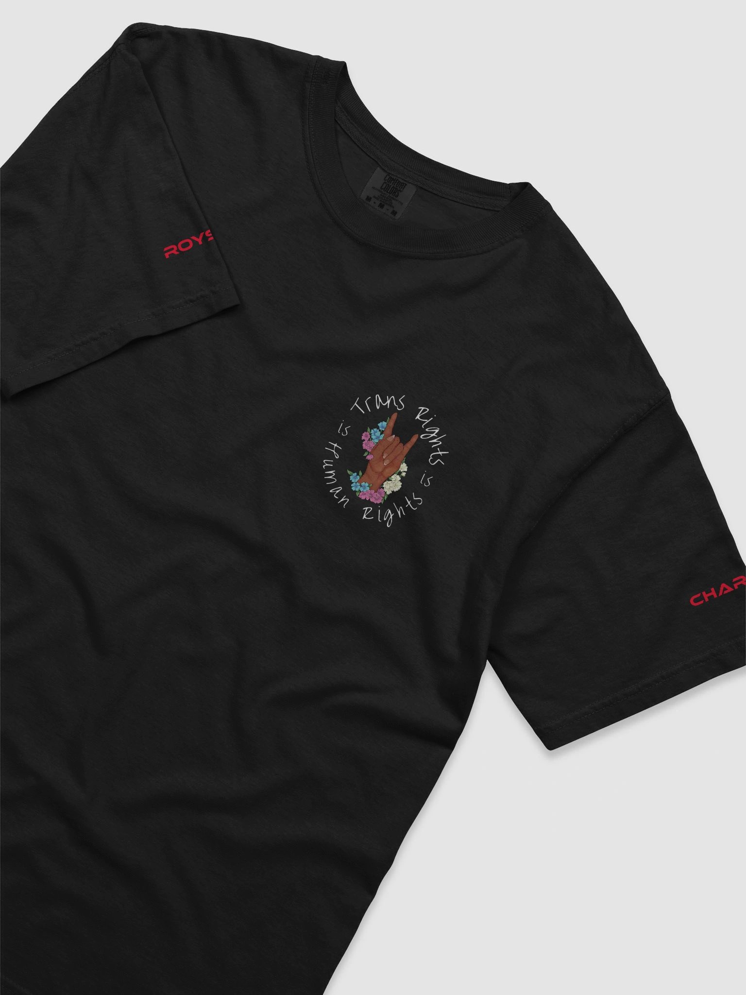 Trans Rights T-Shirt product image (1)
