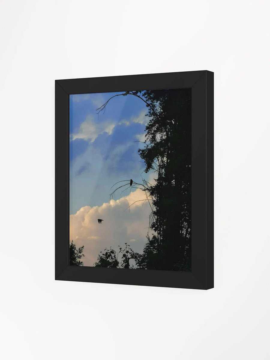 Ravens (Frame) product image (3)