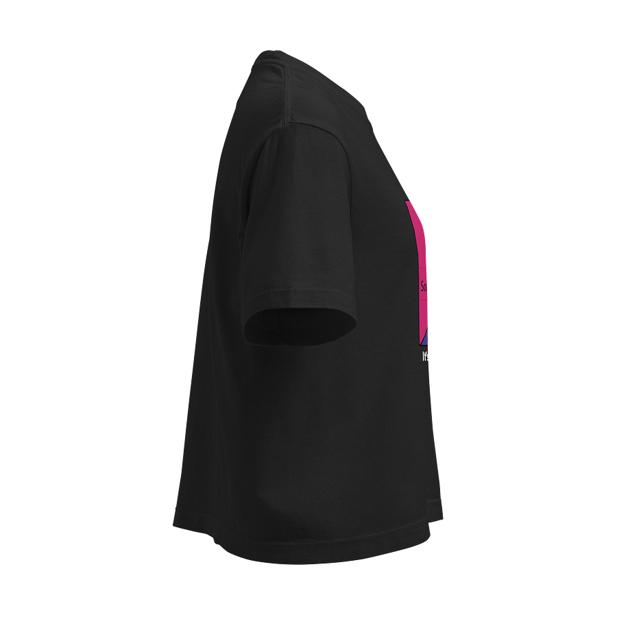 It's Not Just a Phase- Bi Shirt product image (4)