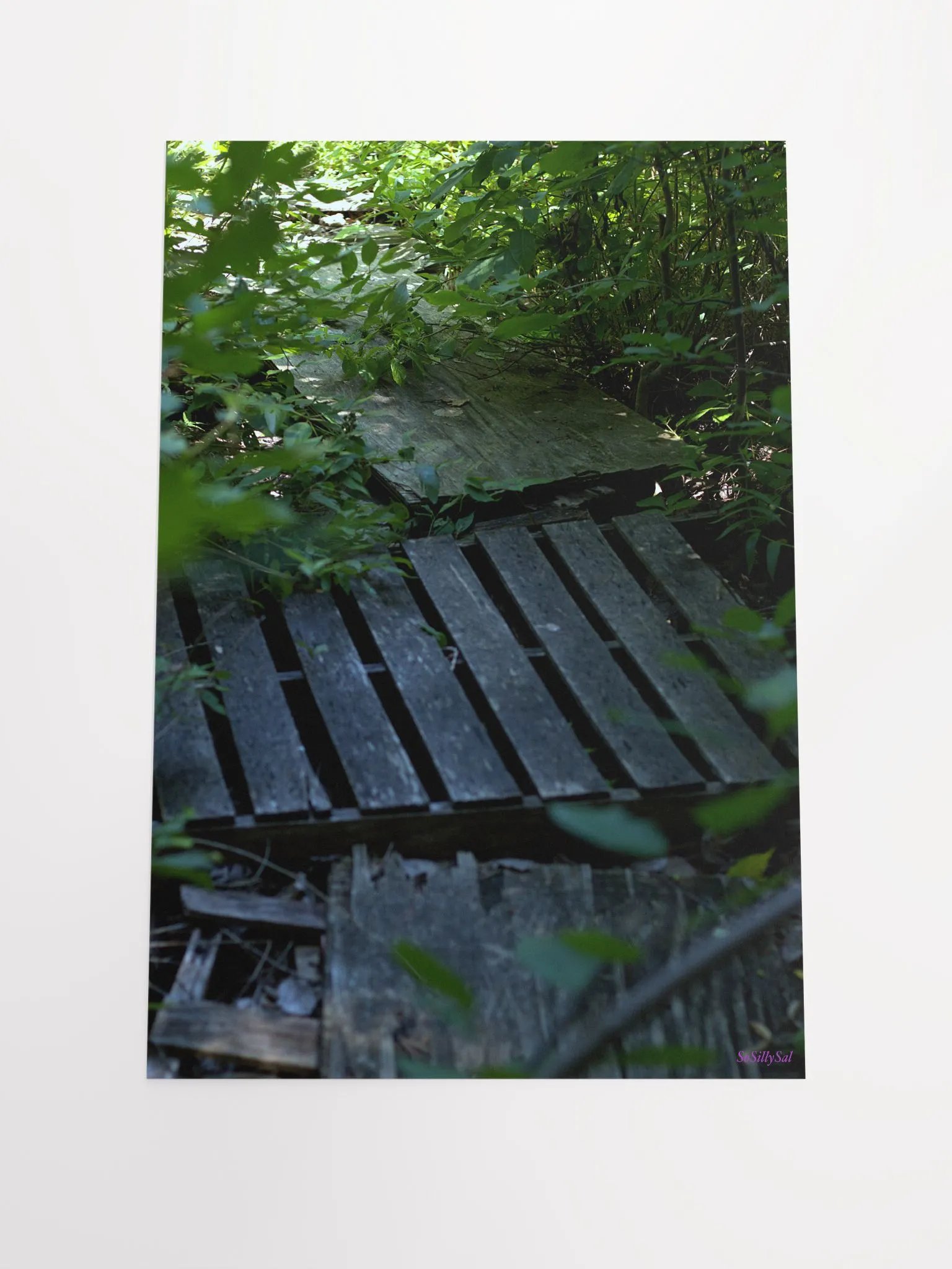 Plank (paper poster) product image (1)