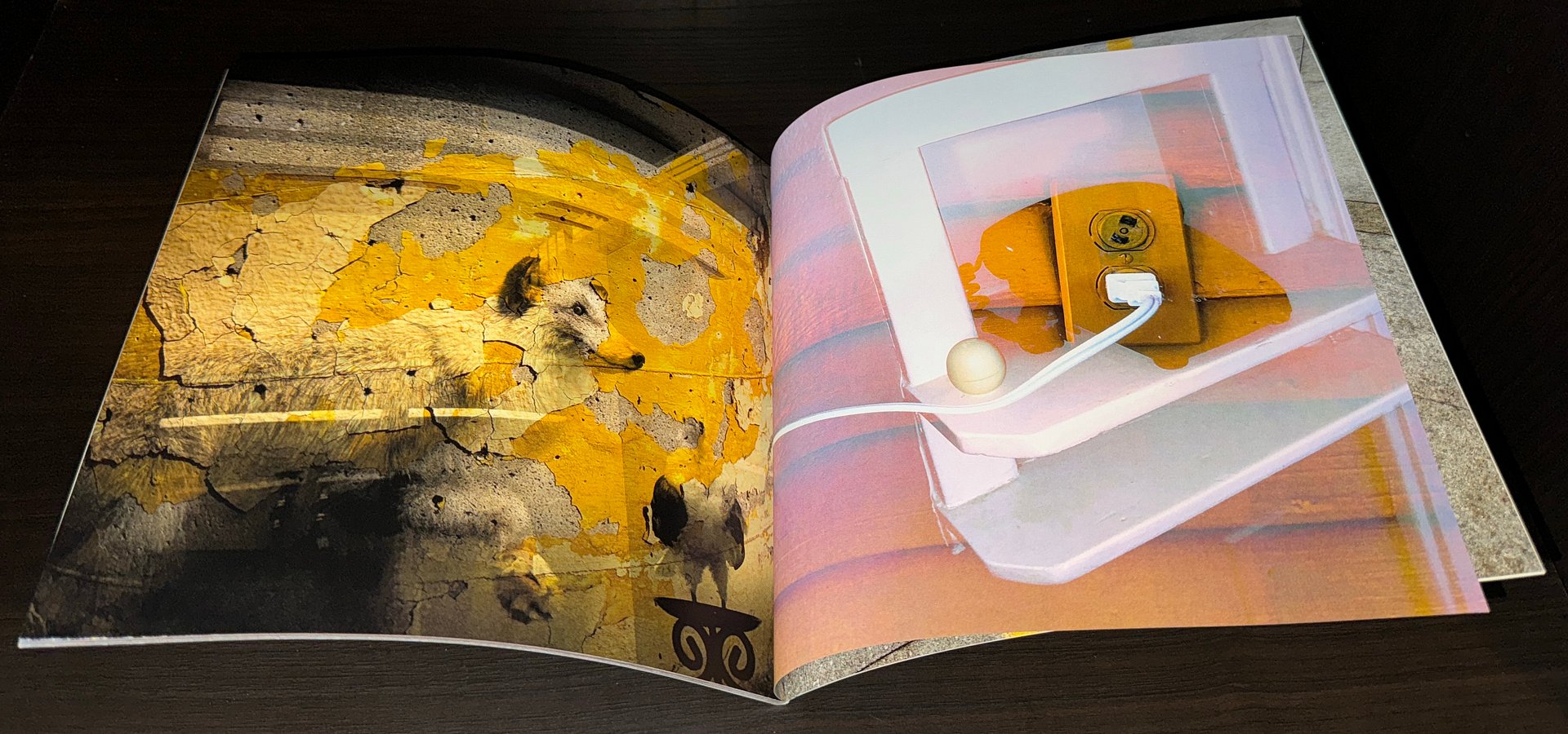 2022 - Zimmer Charging 3-1 Color Book product image (2)