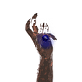 FatesGrip