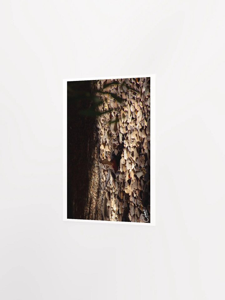 The Lizard King - Print product image (2)
