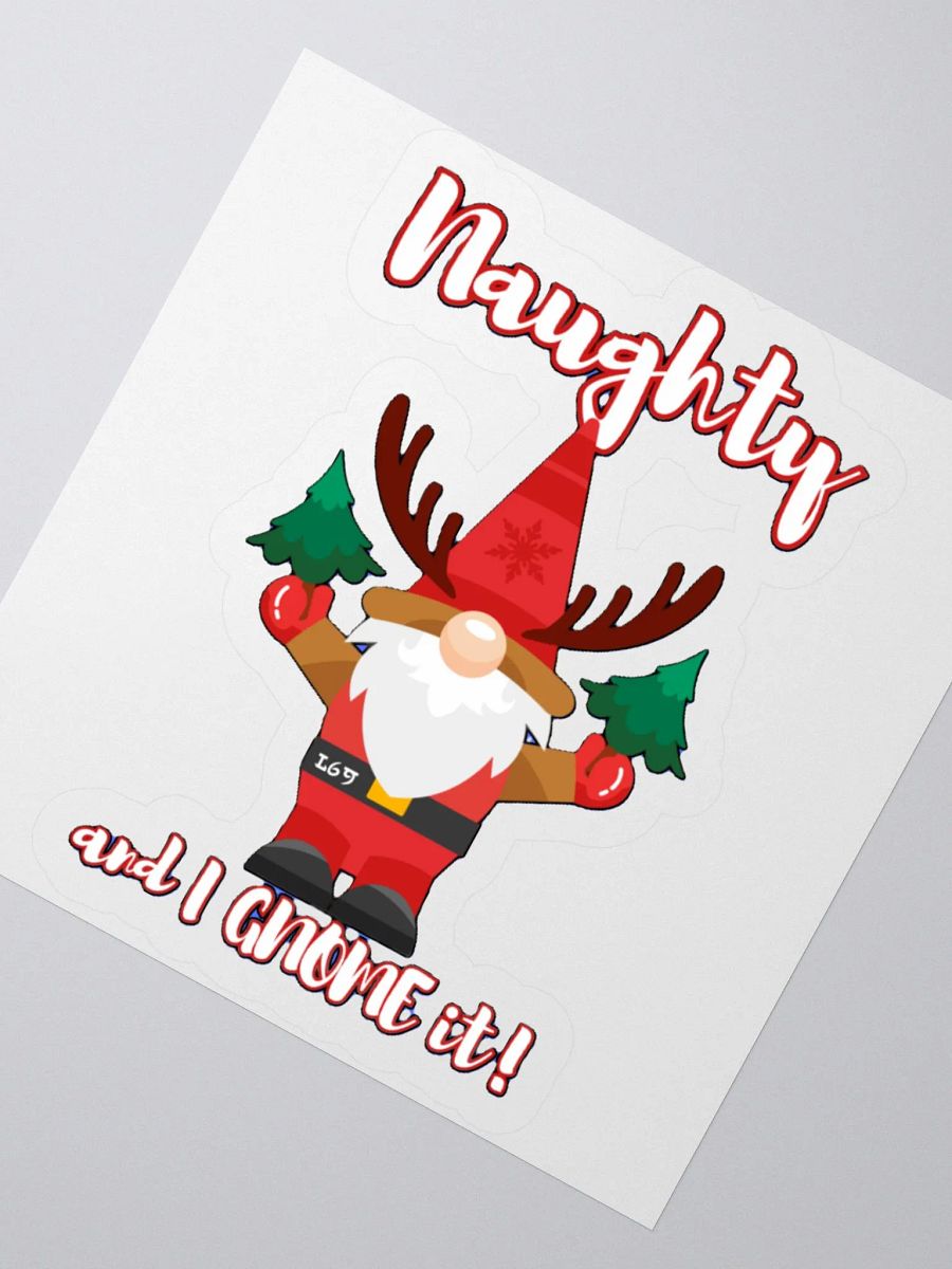NAUGHTY AND I GNOME IT product image (2)