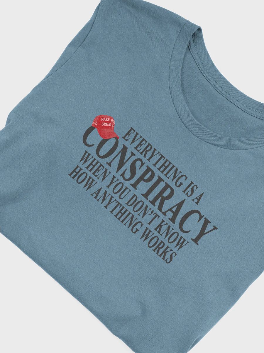 Everything is a Conspiracy T-Shirt - Being Liberal product image (29)