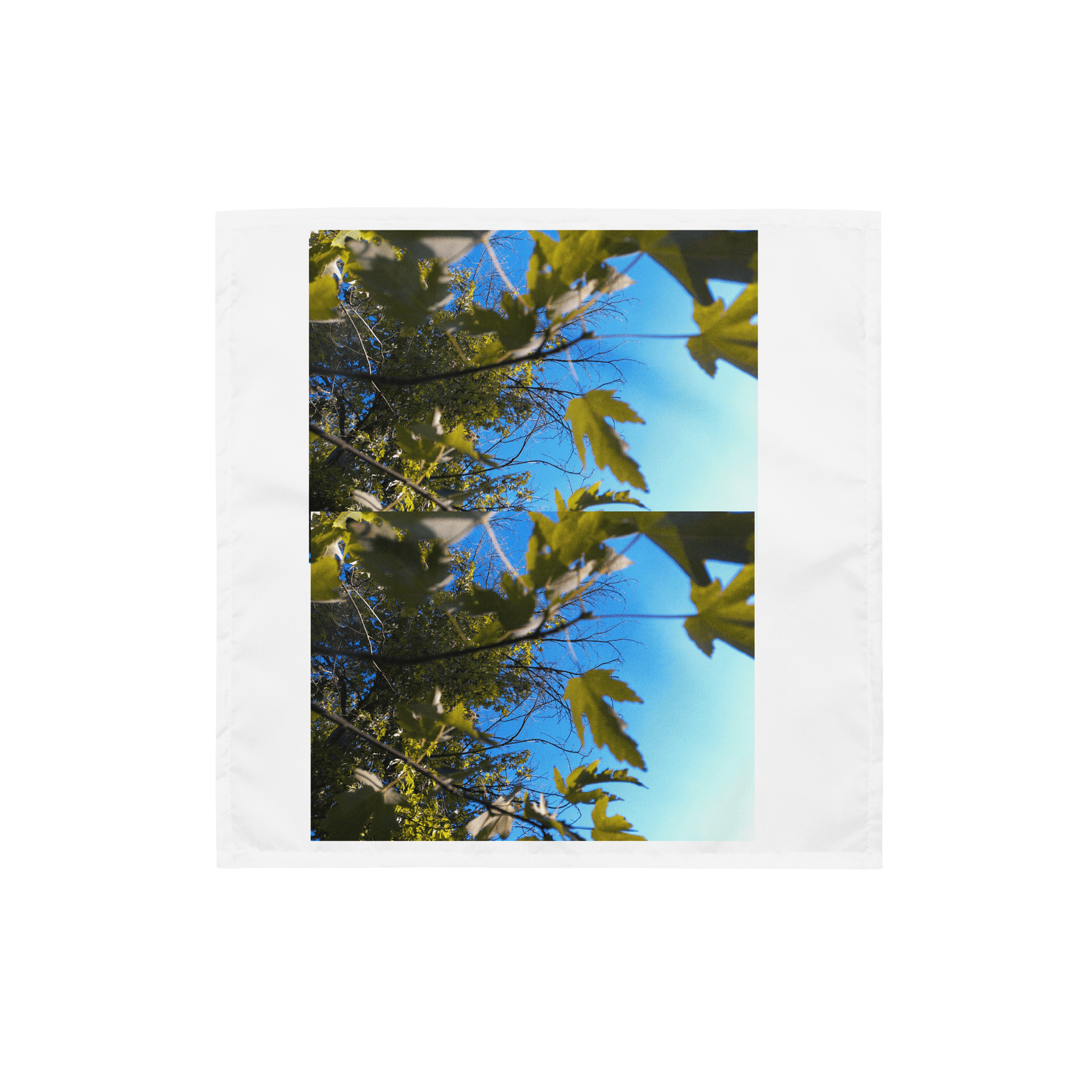 the sky product image (1)