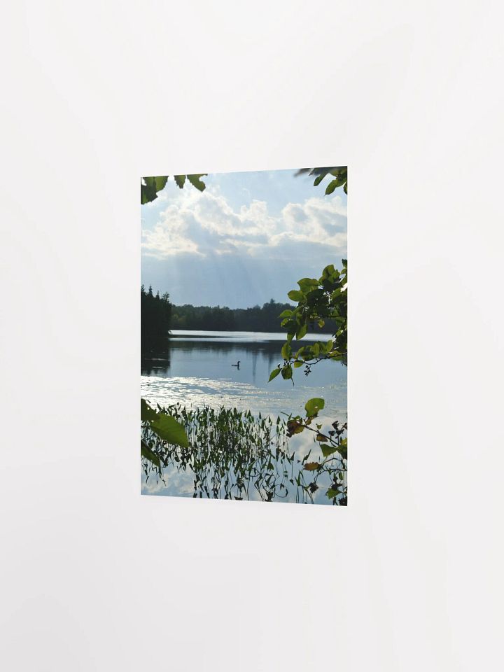 Don't get loonie product image (4)