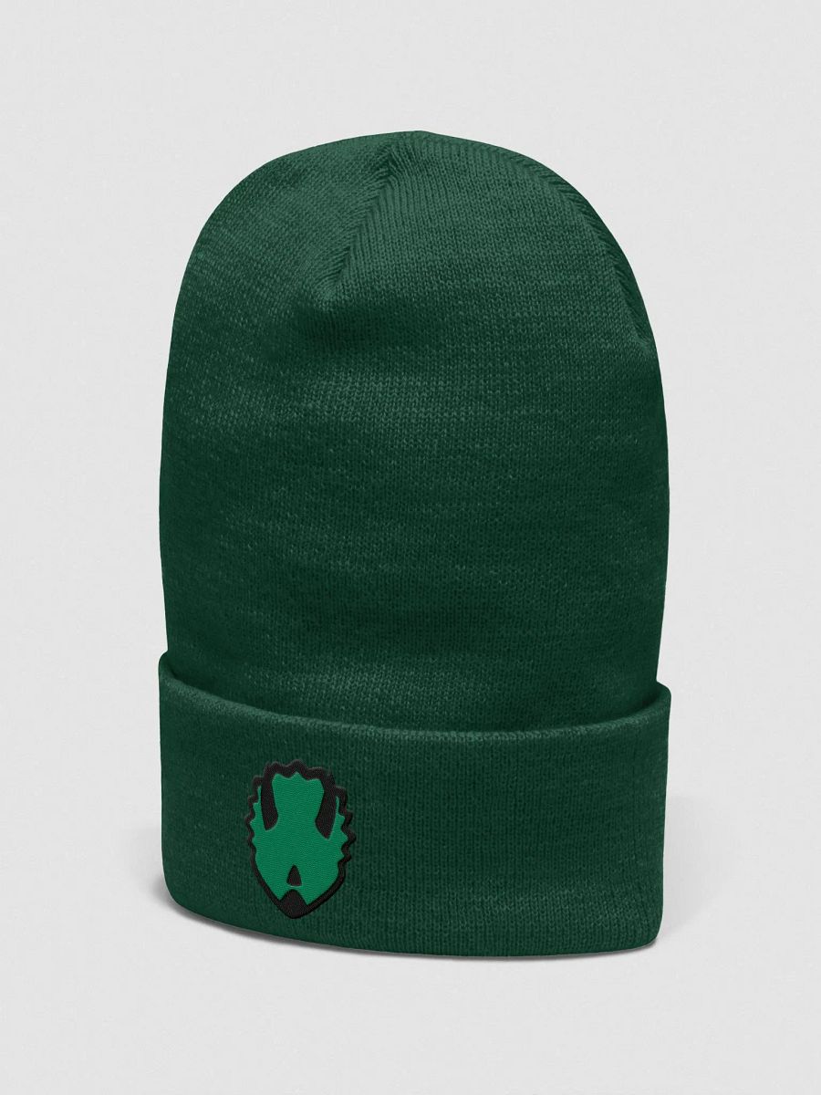 Touque/Winter Hat Green product image (2)