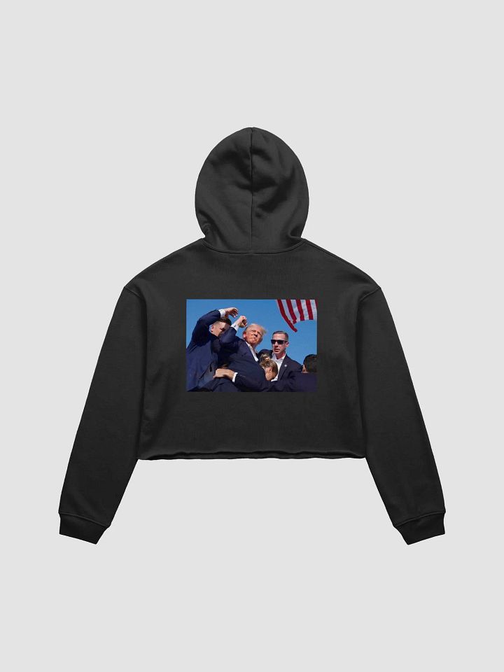 07132024 Crop Hoodie product image (15)