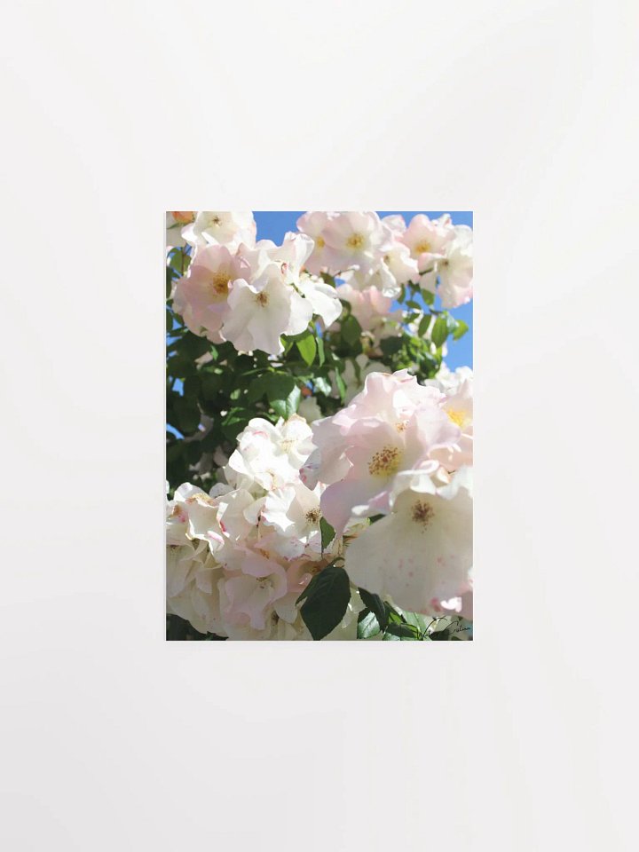Spring Flowers Print product image (2)