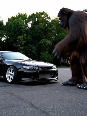 bigfoot certifed #bigfoot #bigfootisreal #yeti #sasquach #fyp #carscene