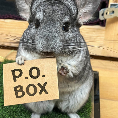 Want to send us something or buy a gift to support the animals and Alveus?
Here's our P.O. Box & Wish list!📦

➡️500 E Whitest...