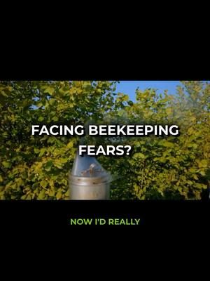 Got Beekeeping Fears? Let’s Talk! 🐝 #beekeeping #beekeepingfears #beekeepingquestions #beekeepingadvice #beekeepingcommunity #beginnerbeekeeping #beekeepinghelp #beekeepingtips #beekeepinglife #beekeepingjourney #savethebees #modernbeekeeping #modernbeekeepingjourney #precisionbeekeeping #beekeeperslife #smartbeekeeping #inteligentbeekeeping #beefeedingsystem #theultimatefeedingsystem #feedingbee #beekeeperlife
