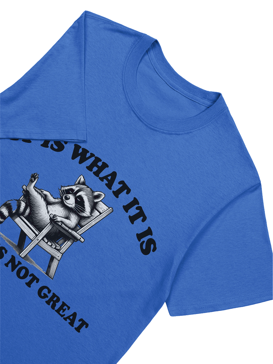 Reality Raccoon Tee product image (27)