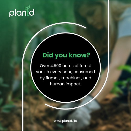 Every hour, over 4,500 acres of forest vanish. Lost to fires, machines, and unchecked human impact. 🌍💔

That’s how fast our p...