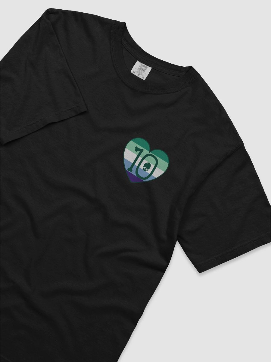 Gay Pride - Rule 10 T-Shirt product image (1)