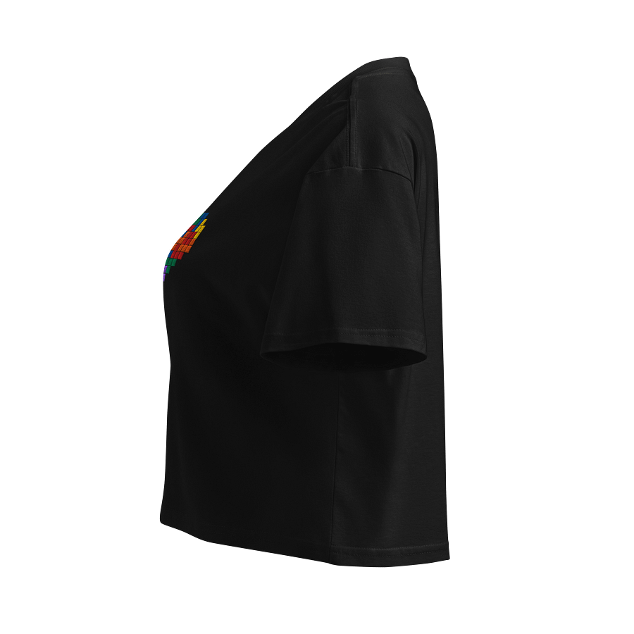 Rainbow Block Heart Embroidered Crop Top product image (4)