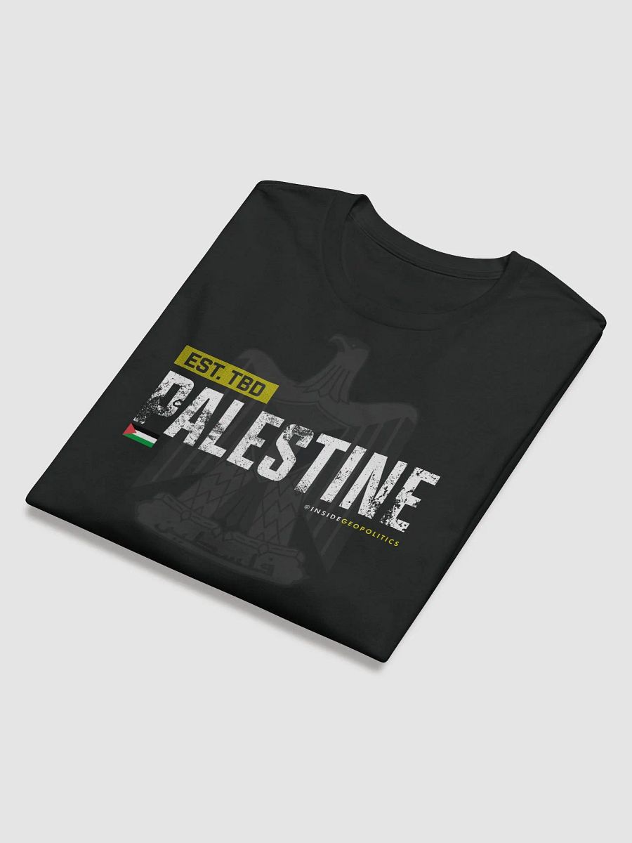 Palestine Long Sleeve T product image (6)