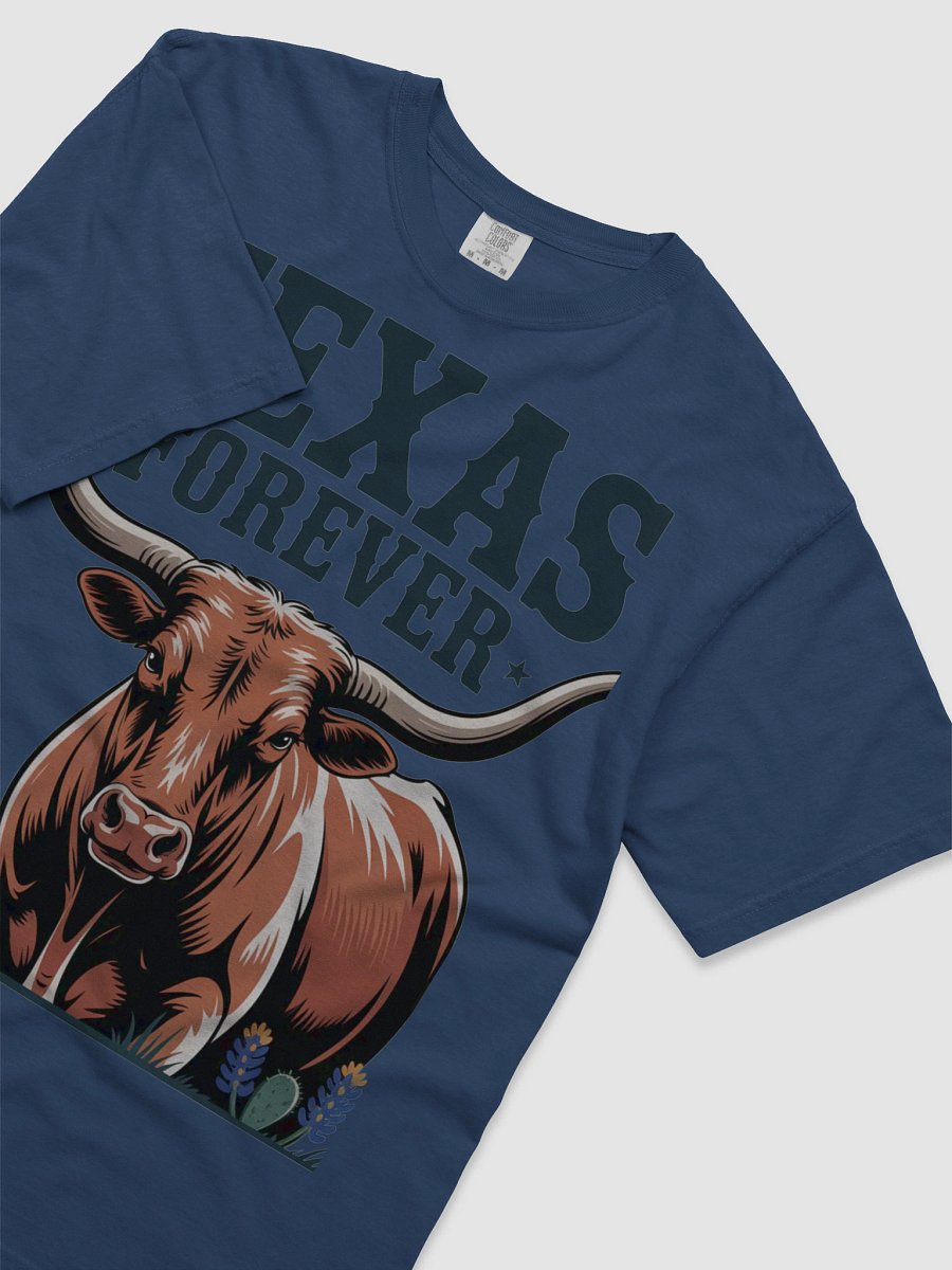 Texas Forever Heavyweight Tee product image (29)