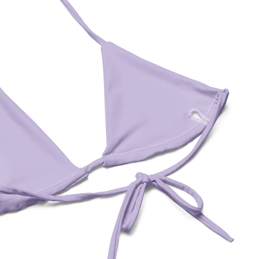I'm Just a Playa Bikini product image (8)
