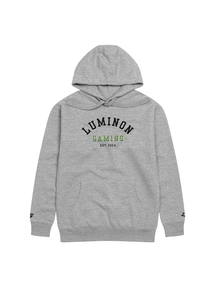 Legacy Luminon Embroidered Hoodie - Gray product image (1)