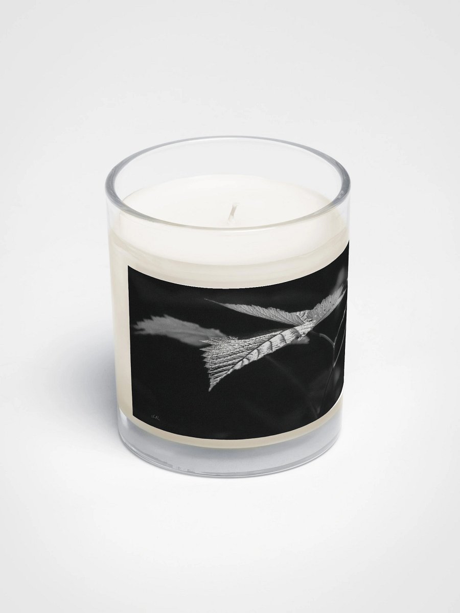 Sunlight on a Salmonberry Leaf Soy Wax Candle product image (2)