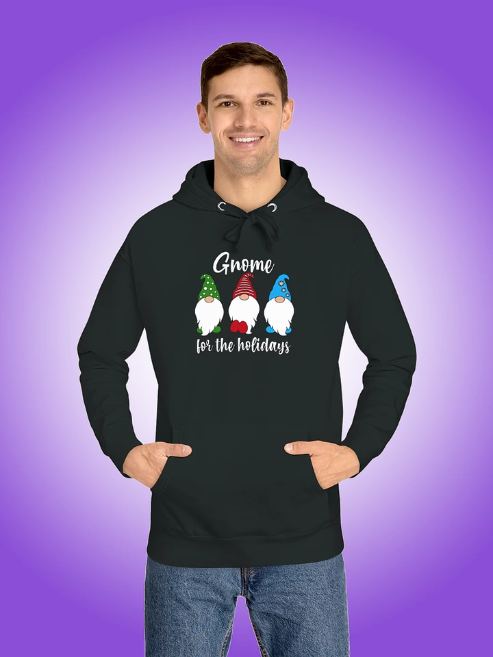 Gnome For The Holidays product image (1)