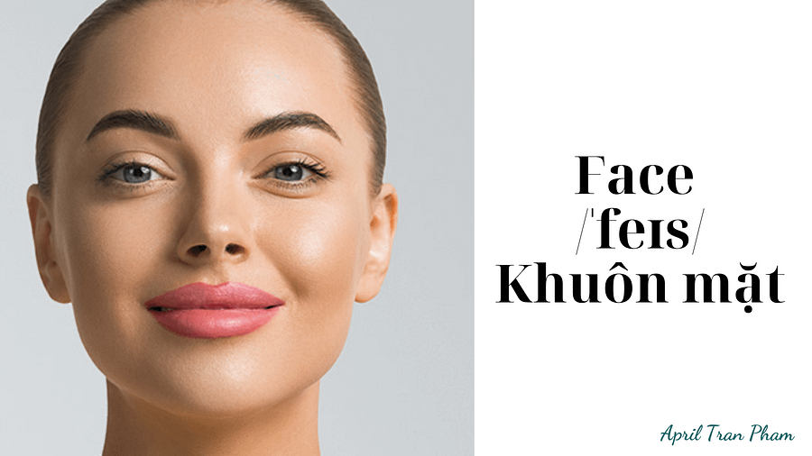 Vocabulary about body product image (2)