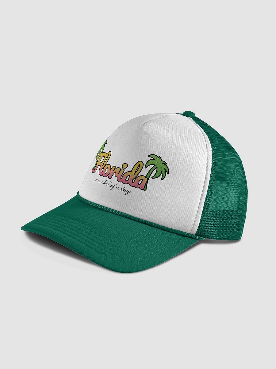 Florida.. is one hell of a drug hat product image (13)