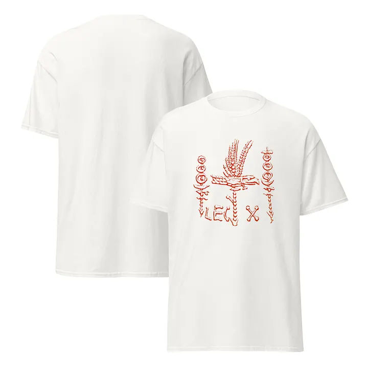 Legion X Legionary Standards Insignia Ancient Rome Art circa 31 BC, T-Shirt product image (14)