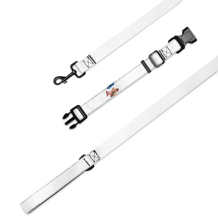 Kid Airplane (Pet Collar & Leash) product image (1)