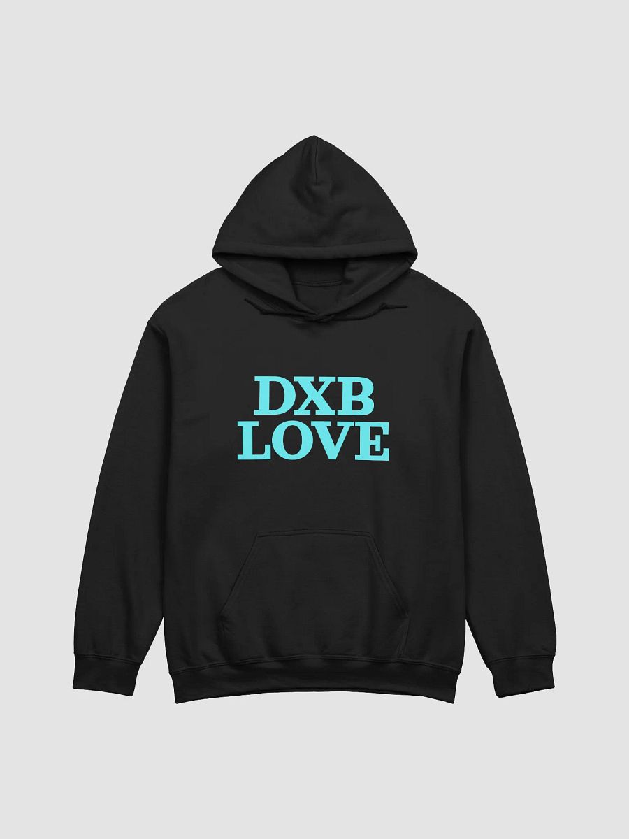 Love Hoodie Teal 2 product image (1)