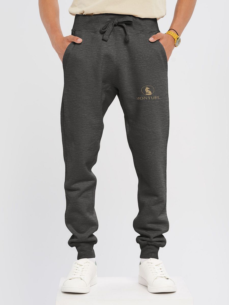 Monture Logo Sweatpants product image (14)