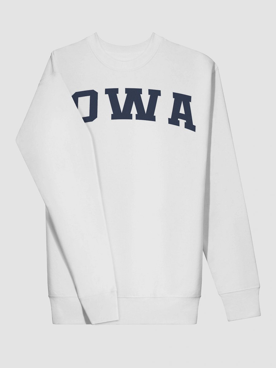 Iowa Vintage Stylish Premium Sweatshirt product image (25)