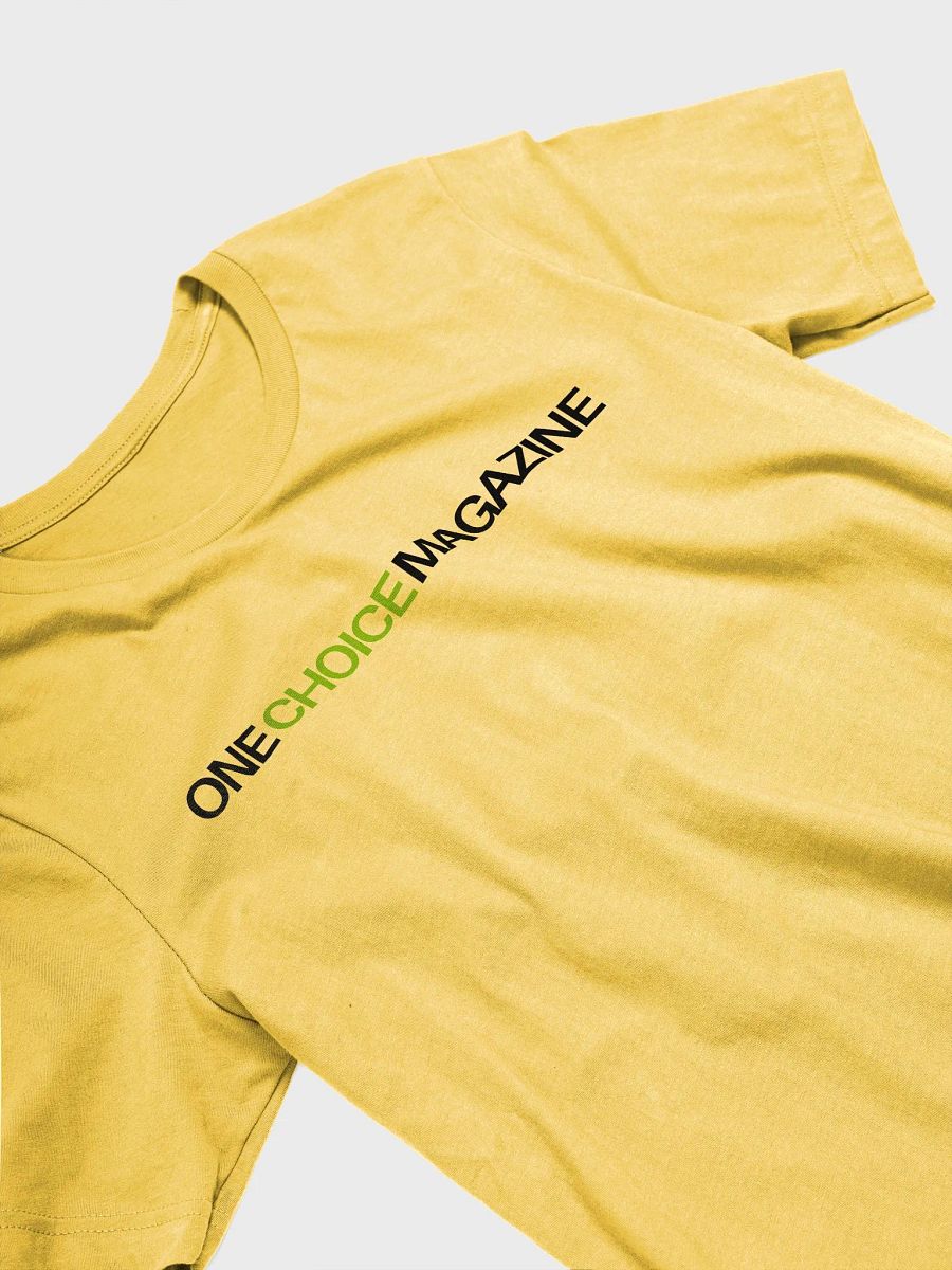 Healing Journey T-shirt by One Choice Magazine product image (4)