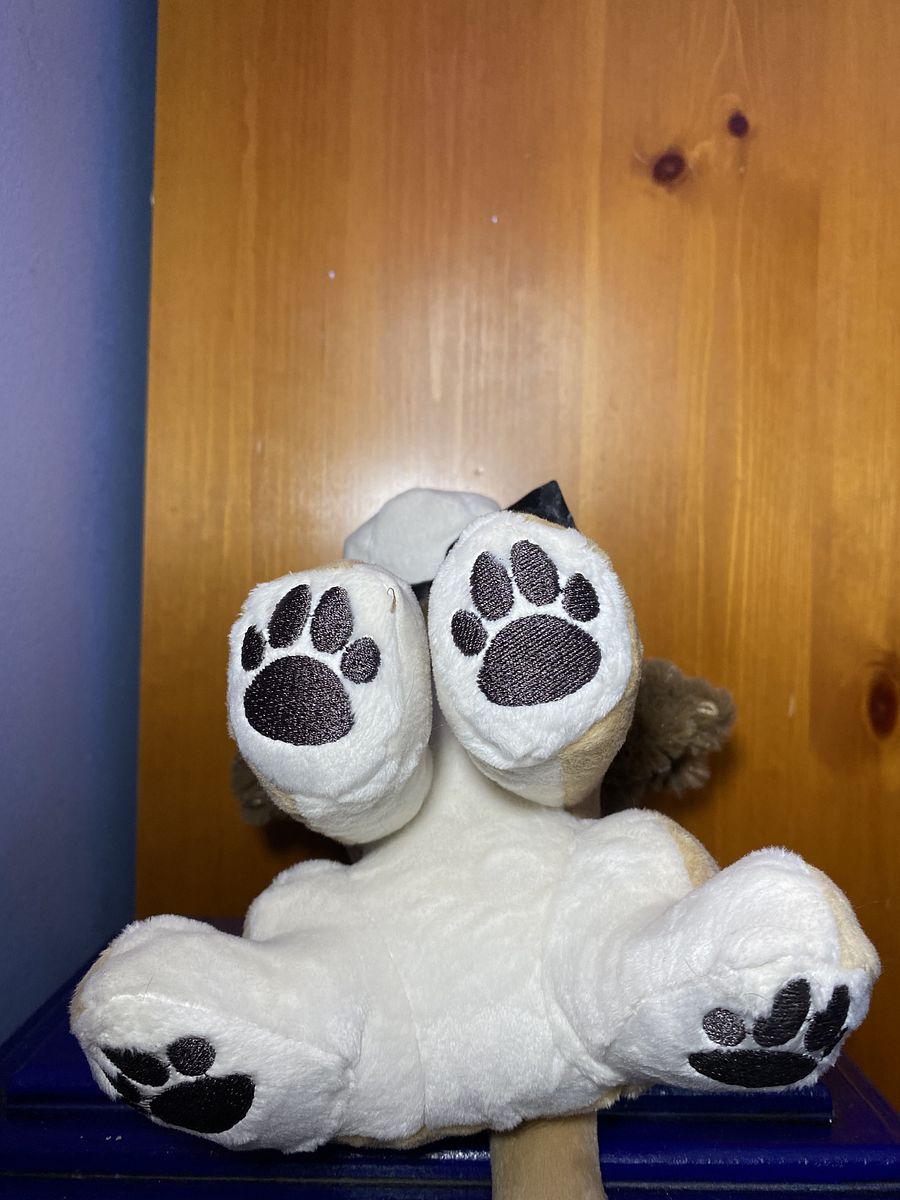 Mane Attraction Plushie: LIMITED EDITION product image (5)