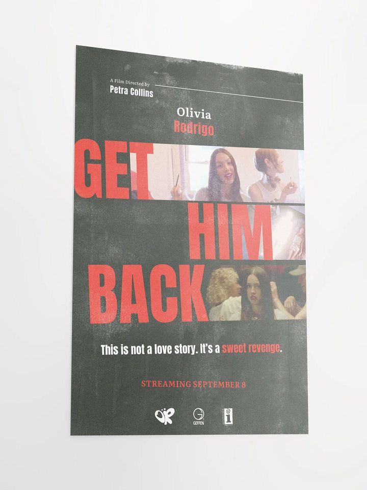 get him back! Poster product image (2)