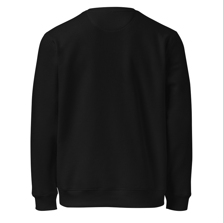 King of Kings Organic Sweatshirt product image (6)