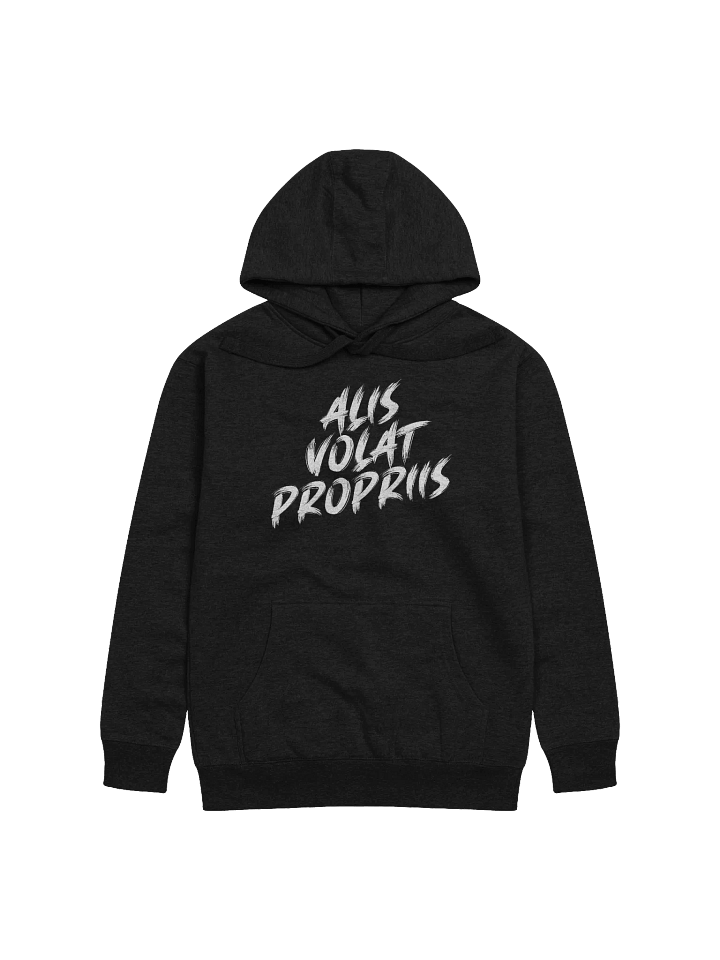 Alis Volat Propriis Bold Brush Hoodie product image (1)