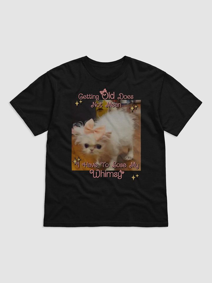 Old & Whimsy Heavyweight T-Shirt product image (1)